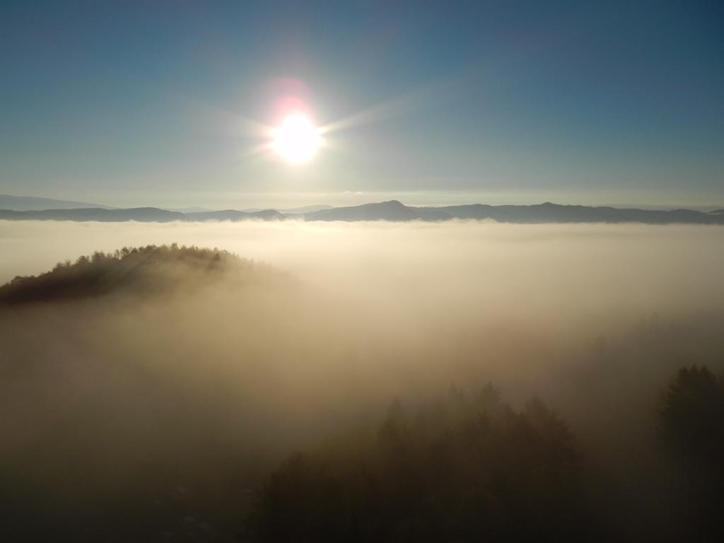 Shin Furano Prince Hotel Εξωτερικό φωτογραφία Fog over the Black Forest